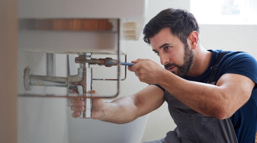 Trap Repair/Replacement in Shelby, MI